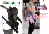 CANGURU