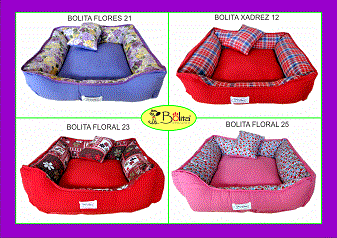 caminha bolita tradicional