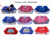 CAMINHA SONECA G
