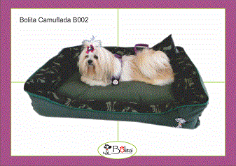 CAMINHA BOLITA XXG